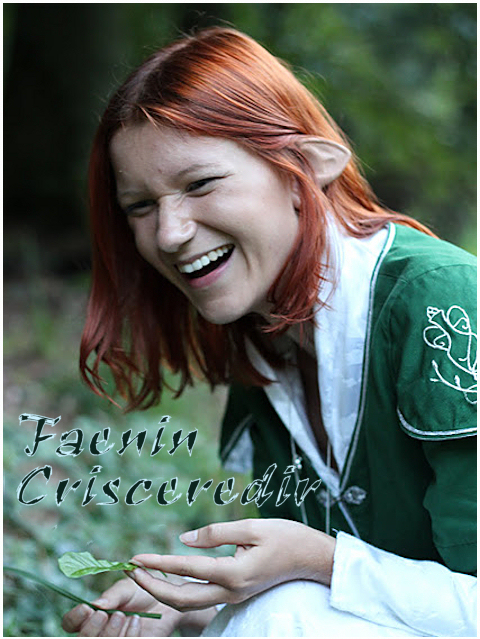 Faenin